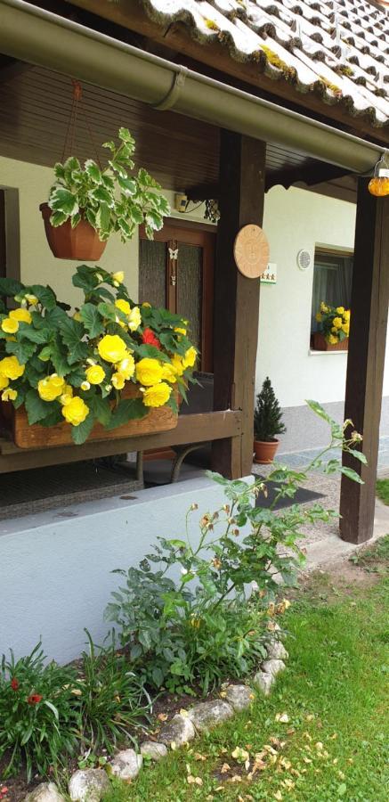 Apartment Sonce 보히니 외부 사진